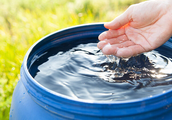 epa-drought-hand-in-rain-barrel